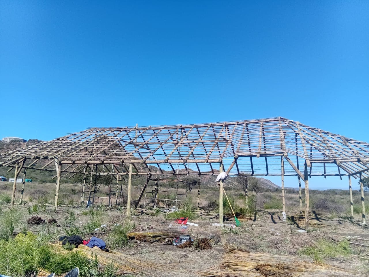 Completed lapa timber frame and roof lattice ready for thatching