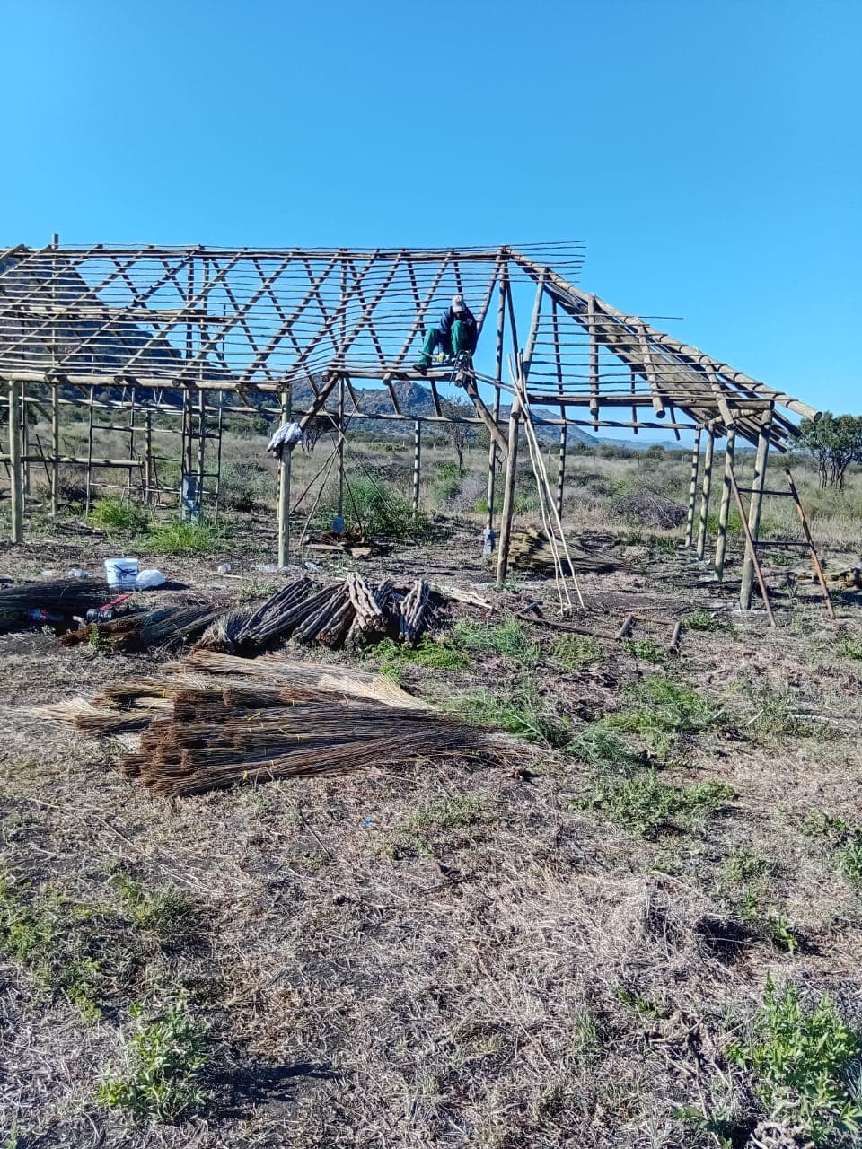 Reed bundles prepared on site for thatching a lapa roof
