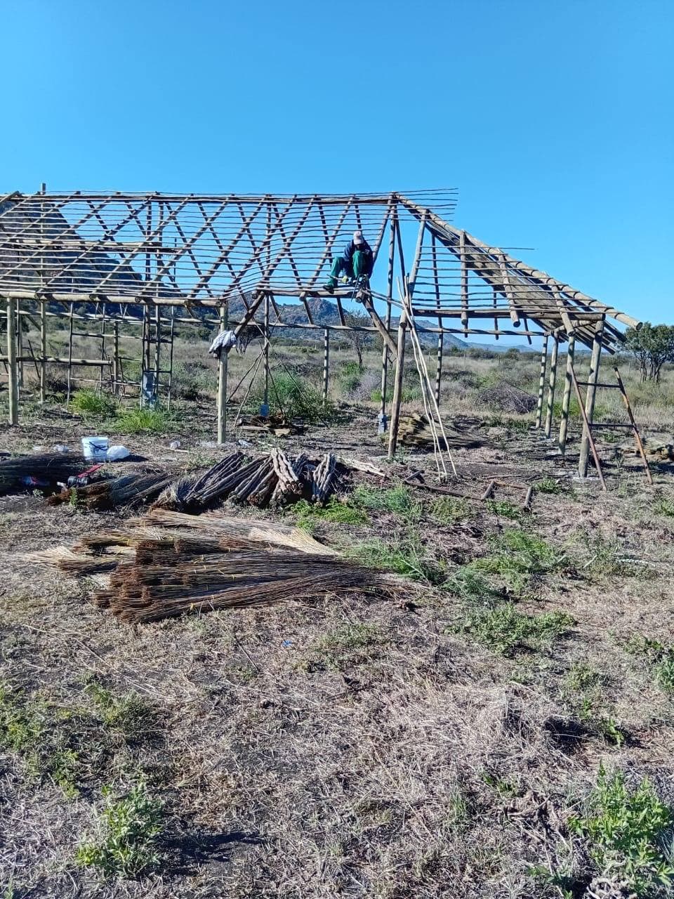 Reed bundles prepared on site for thatching a lapa roof
