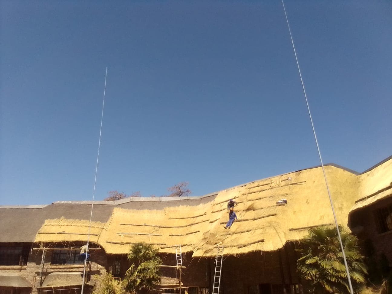 Thatch roof being re-thatched on a residential property